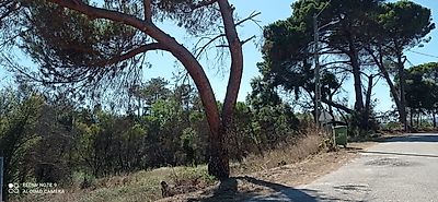 Terreno à venda em Pousaflores, Ansião