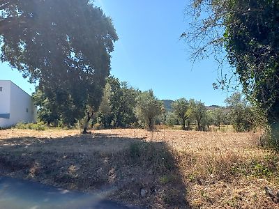 Terreno à venda em Chão de Couce, Ansião