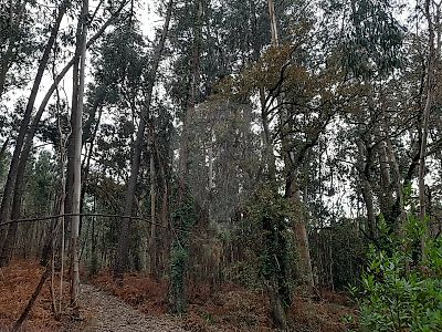 Terreno à venda em Pombal, Pombal