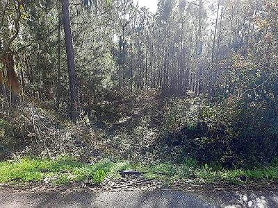 Terreno à venda em Pombal, Pombal