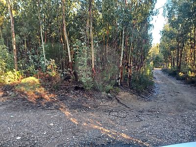 Terreno à venda em Pedrógão Pequeno, Sertã