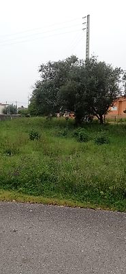 Terreno à venda em Pombal, Pombal