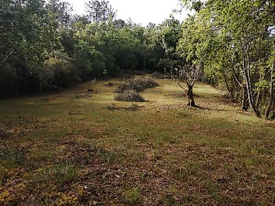 Terreno à venda em Abiul, Pombal