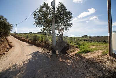 Terreno à venda em Alenquer (Santo Estêvão e Triana), Alenquer
