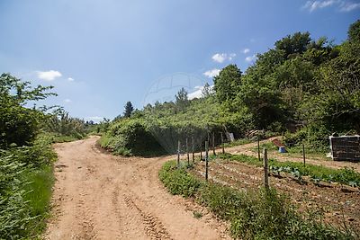 Terreno à venda em Ribafria e Pereiro de Palhacana, Alenquer