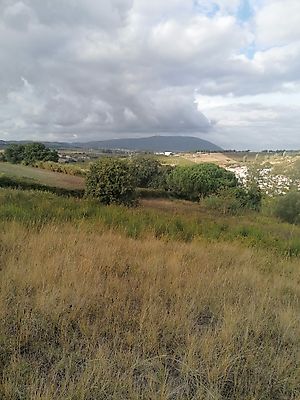 Terreno à venda em Aldeia Galega da Merceana e Aldeia Gavinha, Alenquer