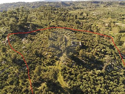 Terreno à venda em Abrunhosa-a-Velha, Mangualde