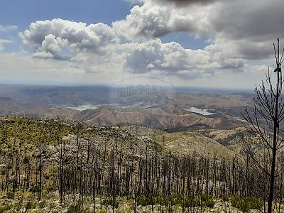 Terreno à venda em Alferce, Monchique