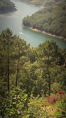 Terreno à venda em Louredo, Vieira do Minho