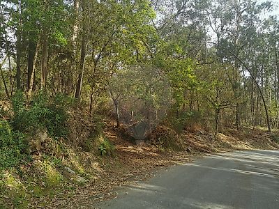 Terreno à venda em Fiscal, Amares