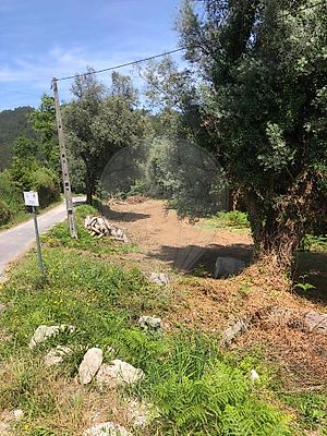 Terreno à venda em Oriz (Santa Marinha) e Oriz (São Miguel), Vila Verde