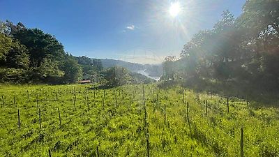 Terreno à venda em Caniçada e Soengas, Vieira do Minho
