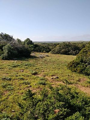Terreno à venda em Budens, Vila do Bispo