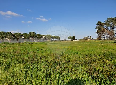 Terreno à venda em Aves, Santo Tirso