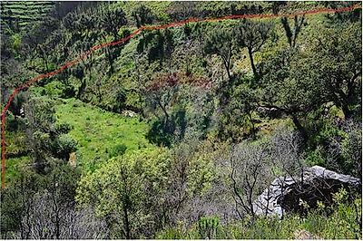 Terreno à venda em Cadafaz e Colmeal, Góis