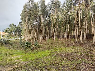 Terreno à venda em Santa Eufémia e Boa Vista, Leiria