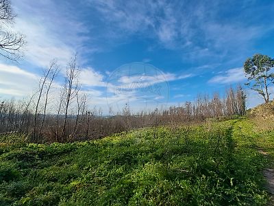 Terreno à venda em Almargem do Bispo, Pêro Pinheiro e Montelavar, Sintra
