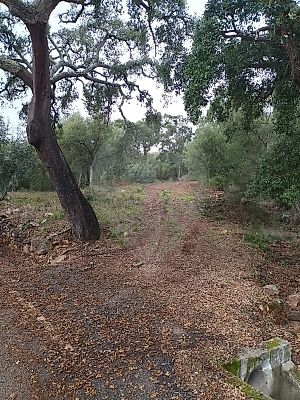 Terreno à venda em Reguengo e São Julião, Portalegre