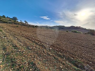 Terreno à venda em Santiago dos Velhos, Arruda dos Vinhos