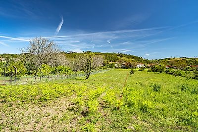 Terreno à venda em Vila Seca e Bem da Fé, Condeixa-a-Nova
