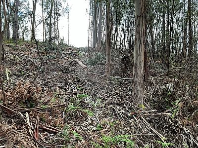 Terreno à venda em Gesteira e Brunhós, Soure