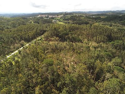 Terreno à venda em Gesteira e Brunhós, Soure