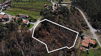 Terreno à venda em Cedrim e Paradela, Sever do Vouga
