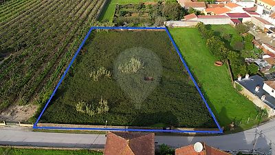 Terreno à venda em Amoreira da Gândara, Paredes do Bairro e Ancas, Anadia