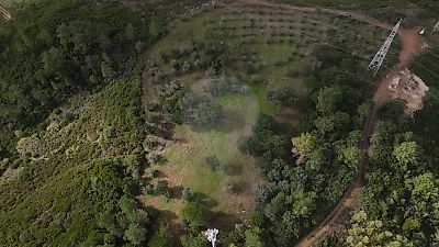 Terreno à venda em Alcoentre, Azambuja