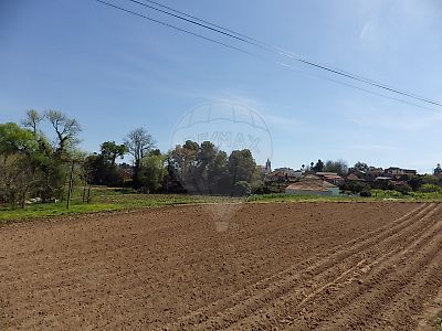 Terreno à venda em Bustos, Troviscal e Mamarrosa, Oliveira do Bairro