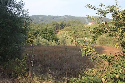 Terreno à venda em Almalaguês, Coimbra
