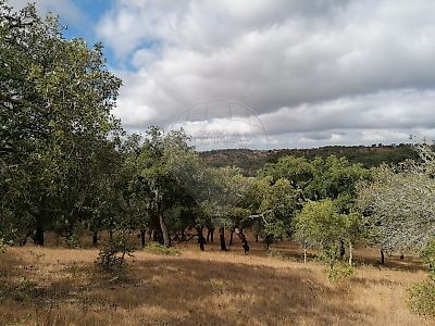 Quinta à venda em Grândola e Santa Margarida da Serra, Grândola