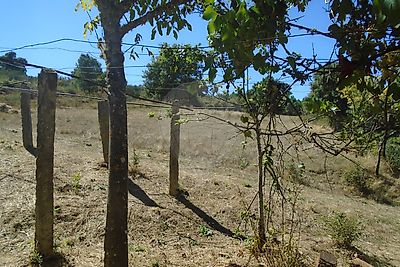 Quinta à venda em Redondelo, Chaves