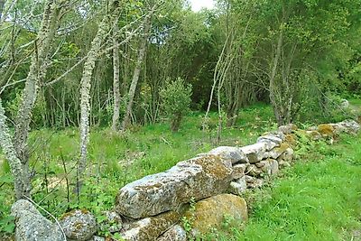 Terreno à venda em Tinhela e Alvarelhos, Valpaços