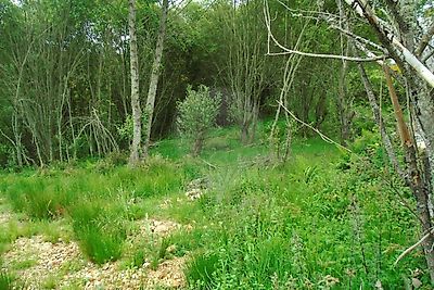 Terreno à venda em Tinhela e Alvarelhos, Valpaços