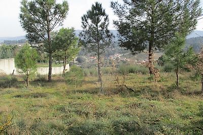 Terreno à venda em São Pedro de Agostém, Chaves