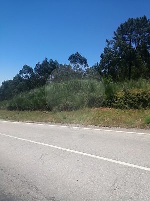 Terreno à venda em Lustosa e Barrosas (Santo Estêvão), Lousada