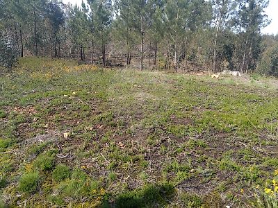 Terreno à venda em Sousela, Lousada