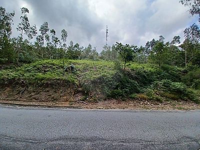 Terreno à venda em Carvalhosa, Paços de Ferreira