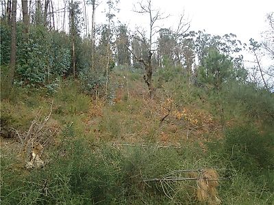 Terreno à venda em Crasto, Ruivos e Grovelas, Ponte da Barca