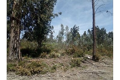 Terreno à venda em Gondoriz, Arcos de Valdevez