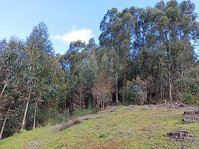Terreno à venda em Gondoriz, Arcos de Valdevez