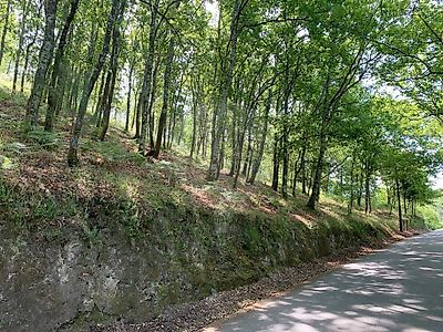 Terreno à venda em Paçô, Arcos de Valdevez