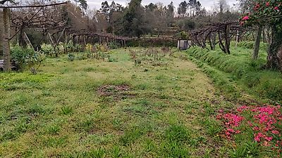 Terreno à venda em Lavradas, Ponte da Barca
