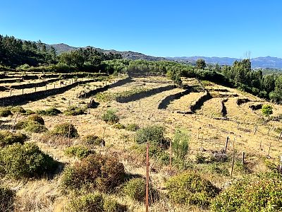 Terreno à venda em Soajo, Arcos de Valdevez