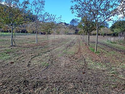 Terreno à venda em Távora (Santa Maria e São Vicente), Arcos de Valdevez