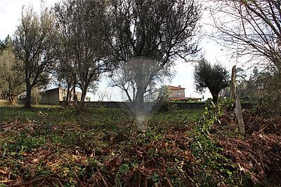 Terreno à venda em Fontão, Ponte de Lima