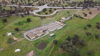Quinta à venda em Panoias e Conceição, Ourique
