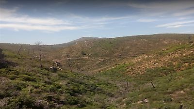 Terreno à venda em Carvoeiro, Mação