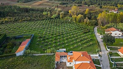 Terreno à venda em Anadia